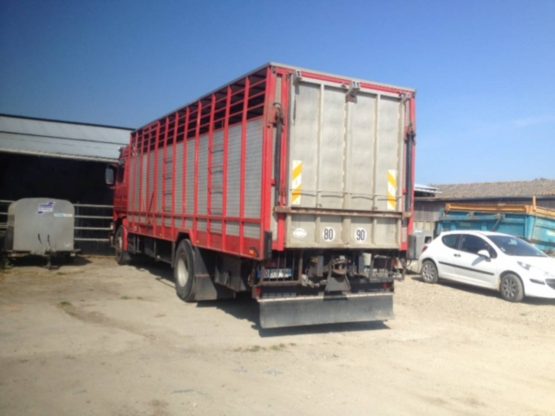 SCANIA R113