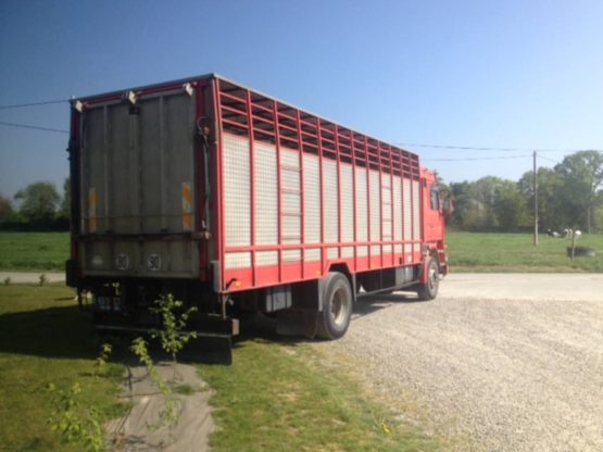 SCANIA R113
