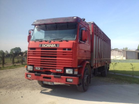 SCANIA R113