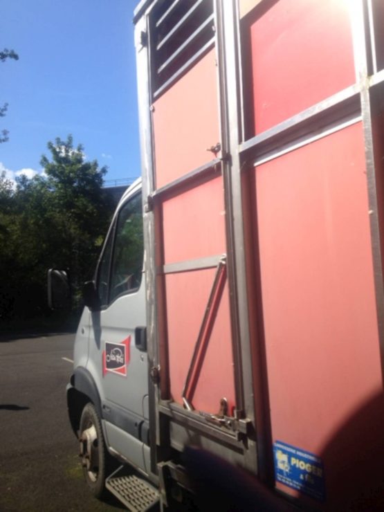 RVI MASCOT 110 DCI