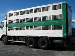 VOLVO FH12