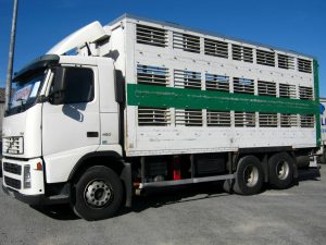 VOLVO FH12