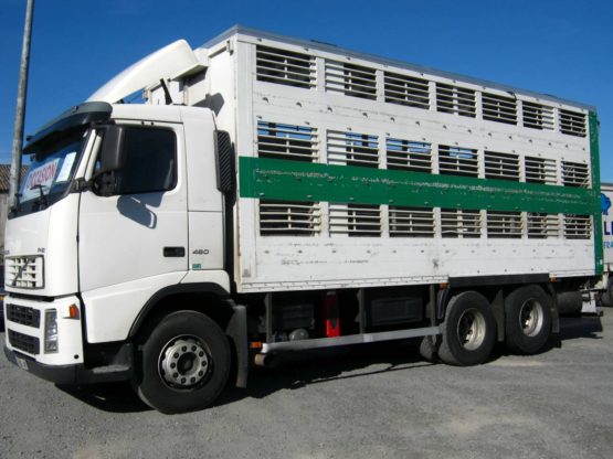VOLVO FH12