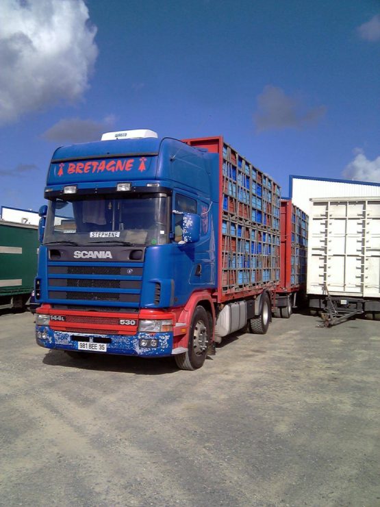 SCANIA R144LB