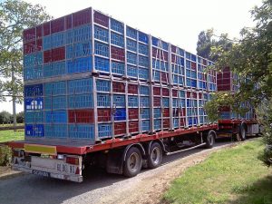SCANIA R144LB