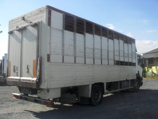 SCANIA P94DB