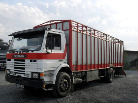 SCANIA P93