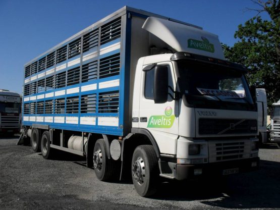 VOLVO FM 12 - 380