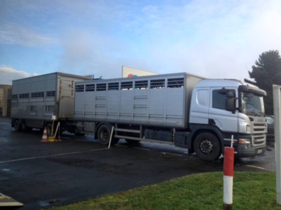 SCANIA P420LB