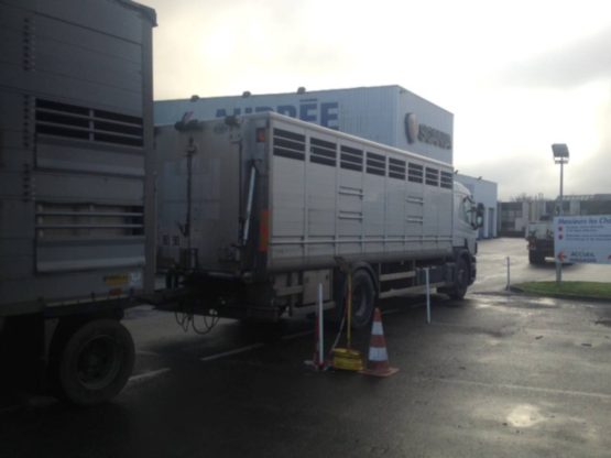 SCANIA P420LB