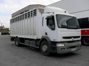 RVI PREMIUM