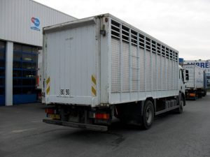 RVI PREMIUM