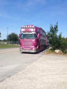 SCANIA R620LB