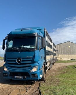 MERCEDES ACTROS