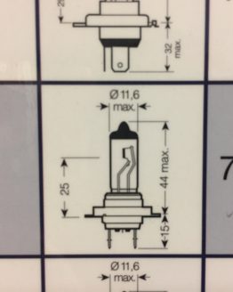 AMPOULE H7 NGS