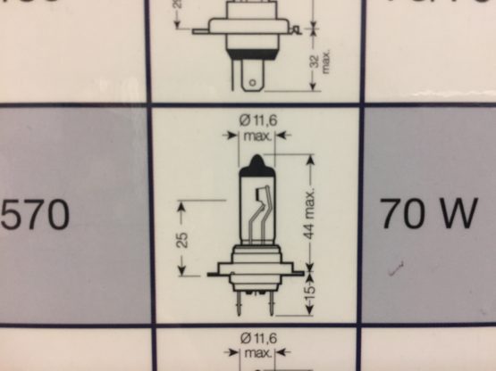 AMPOULE H7 NGS